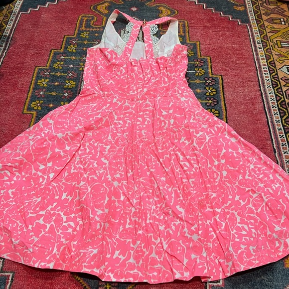 Lilly Pulitzer Dress - Picture 5 of 7